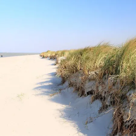 50 7 Mehrblick Schillig