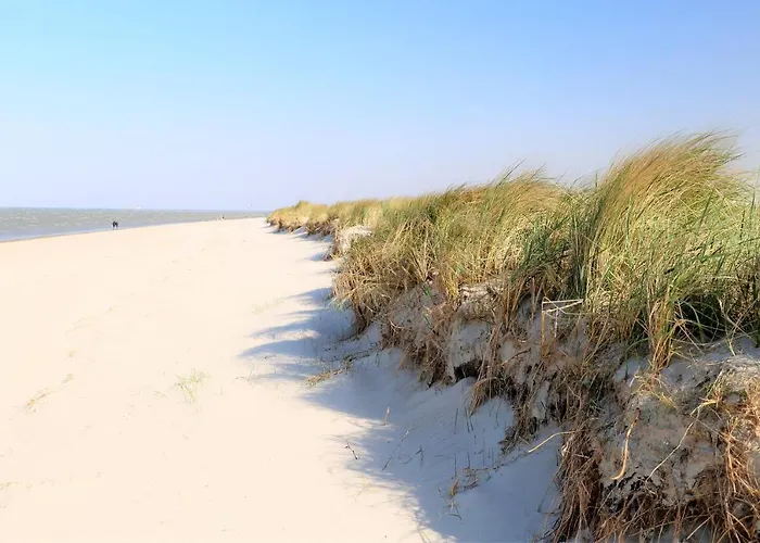 50 7 Mehrblick Schillig